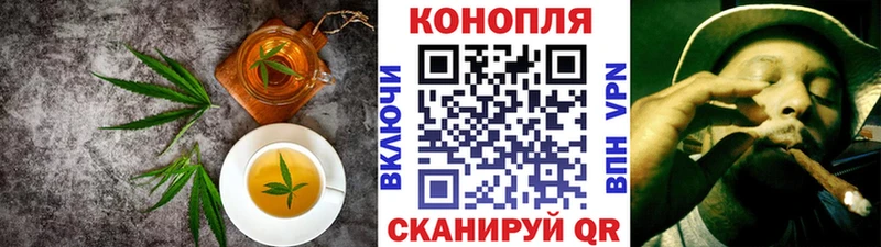 Купить закладки  Тотьма  Canna-Cookies марихуана 