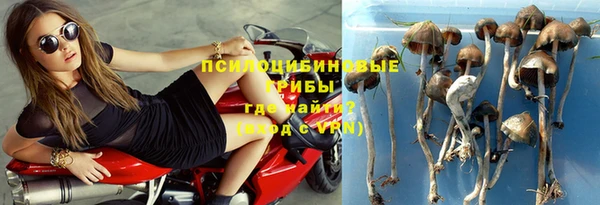герыч Алексин