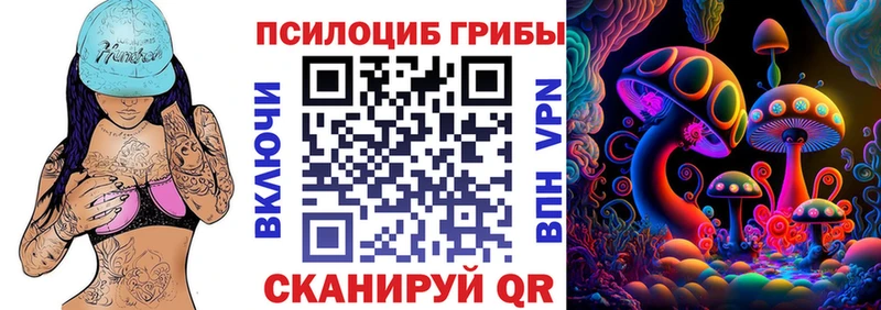 Купить закладки Тотьма Псилоцибиновые грибы Psilocybe